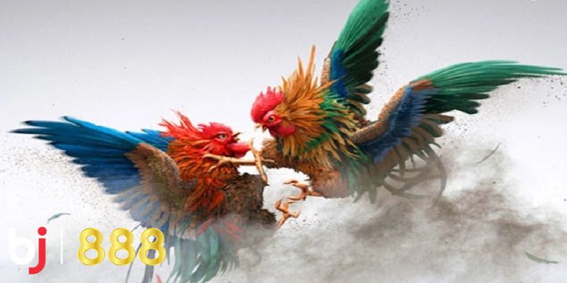 Một trong những yếu tố làm nên sự khác biệt của BJ888 là đội ngũ CSKH