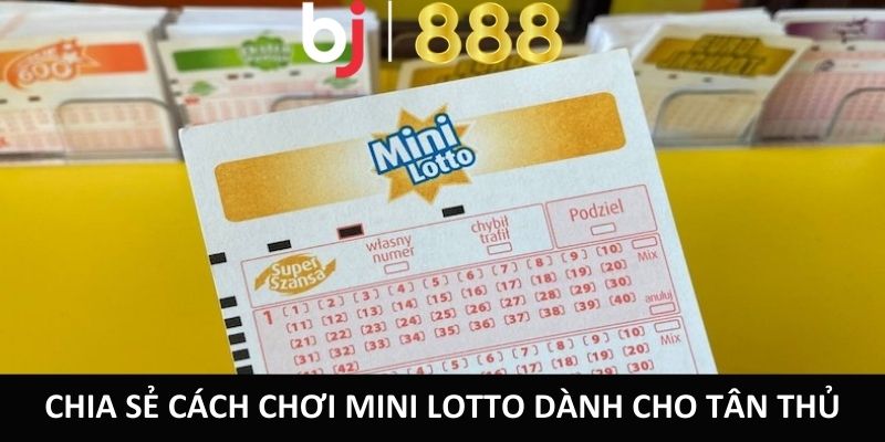 Chia sẻ cách chơi Mini Lotto dành cho tân thủ