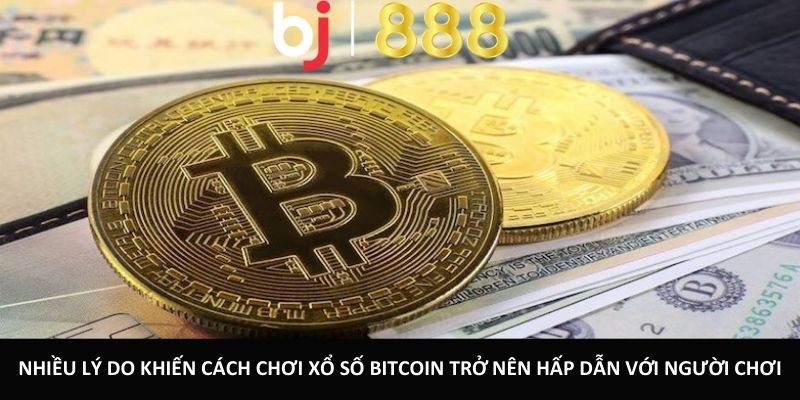 Nhiều lý do khiến cách chơi xổ số Bitcoin trở nên hấp dẫn với người chơi
