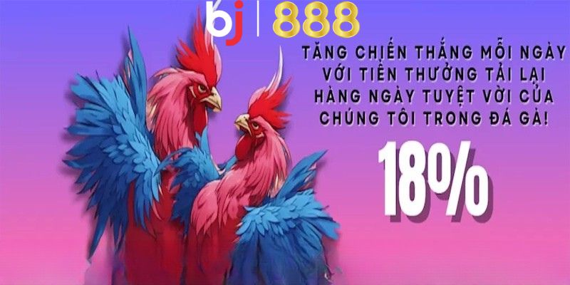 18% Tiền Thưởng Nạp Lại Cho Đá Gà cũng có các điều khoản và điều kiện chung