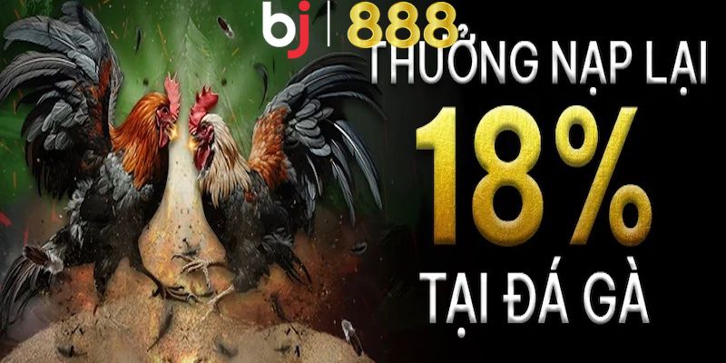 Lưu ý để được nhận khuyến mãi 18% Tiền Thưởng Nạp Lại Cho Đá Gà hợp lệ