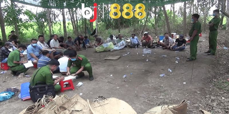 Nguyên nhân bị phạt khi đá gà là gì?